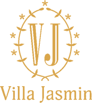 vip-1.png